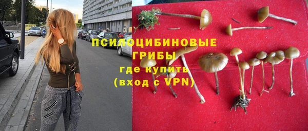 стафф Краснотурьинск