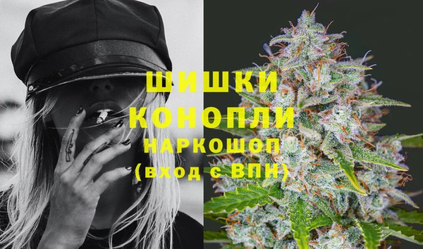 стафф Краснотурьинск